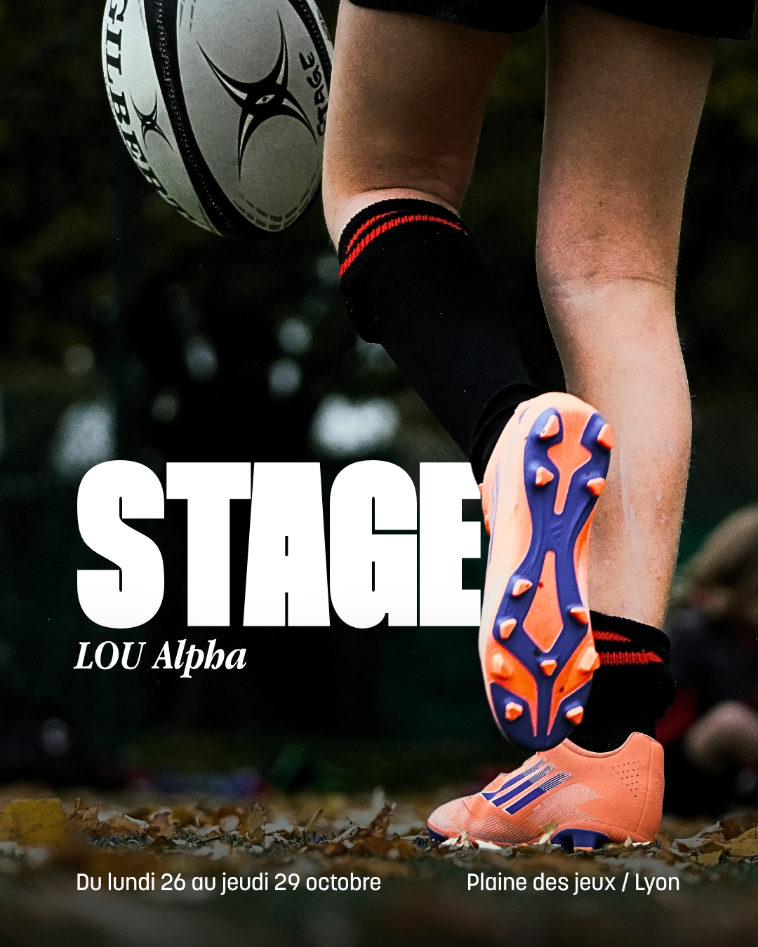 Stage LOU Alpha